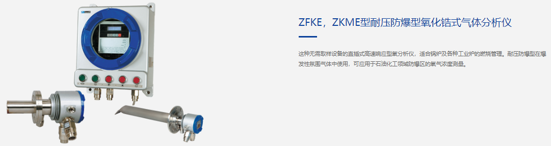 气体分析仪7.PNG